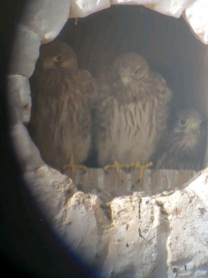 714124846_18015276866849357_6571612834104828489_n