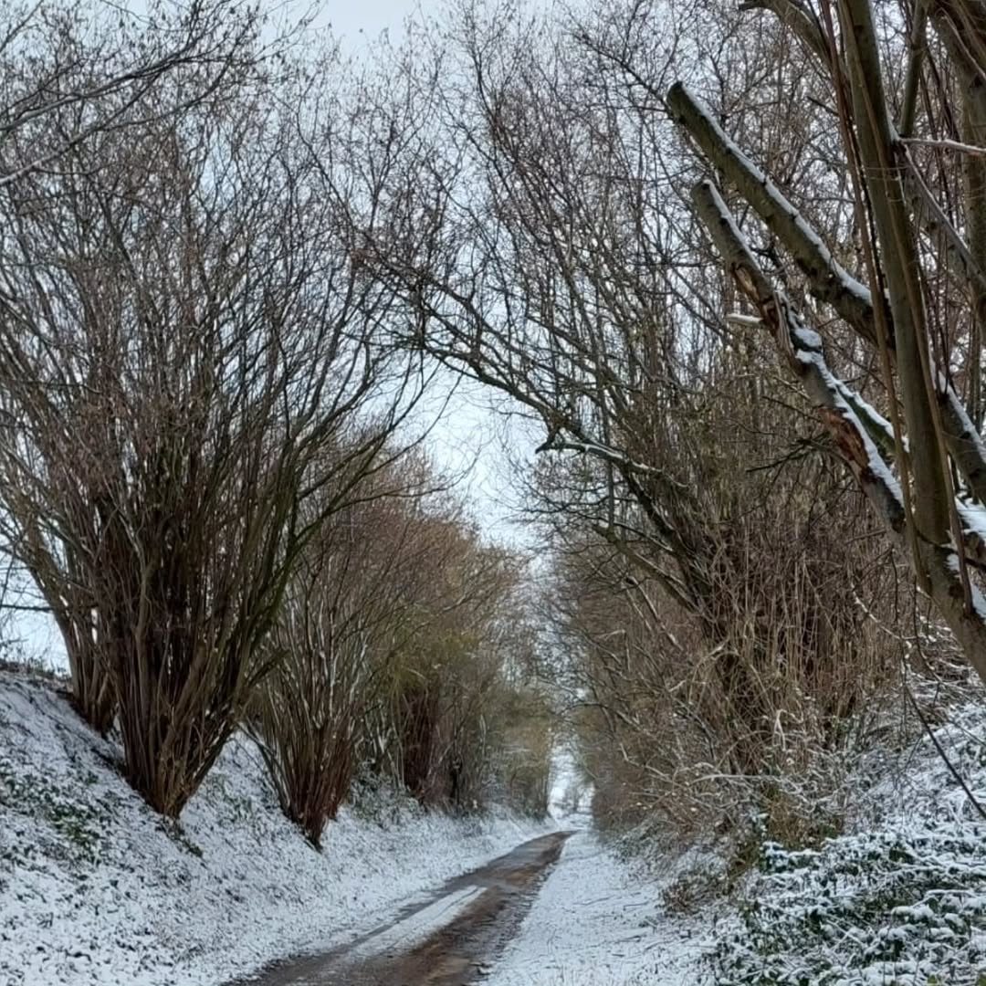 615345523_17998970792849357_1537564810285049429_n