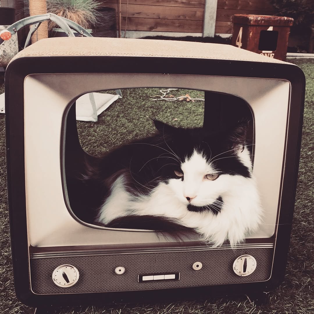 556691110_17842378356591195_1858763960162972988_n