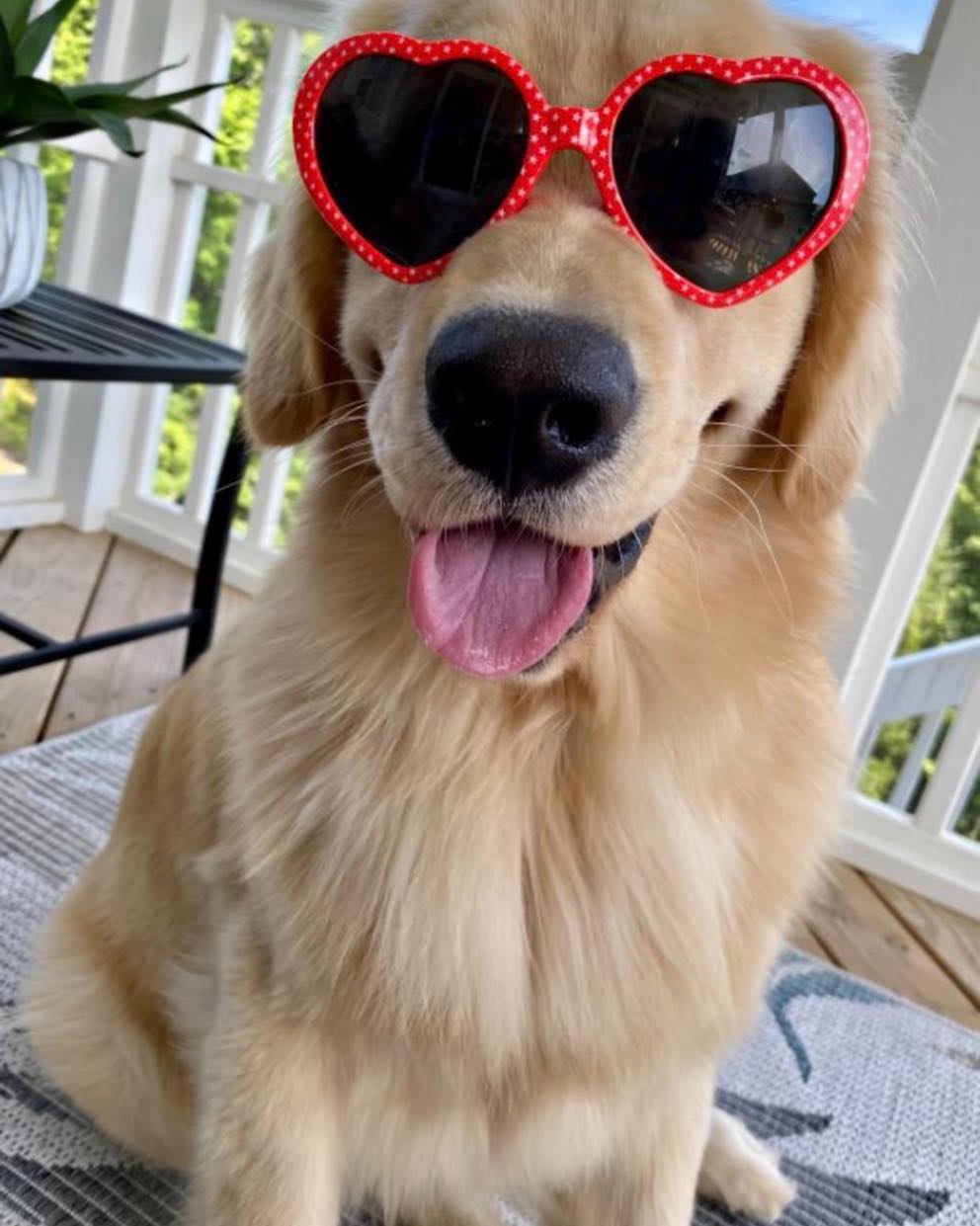 661227575_934595772651804_7618613645169582804_n