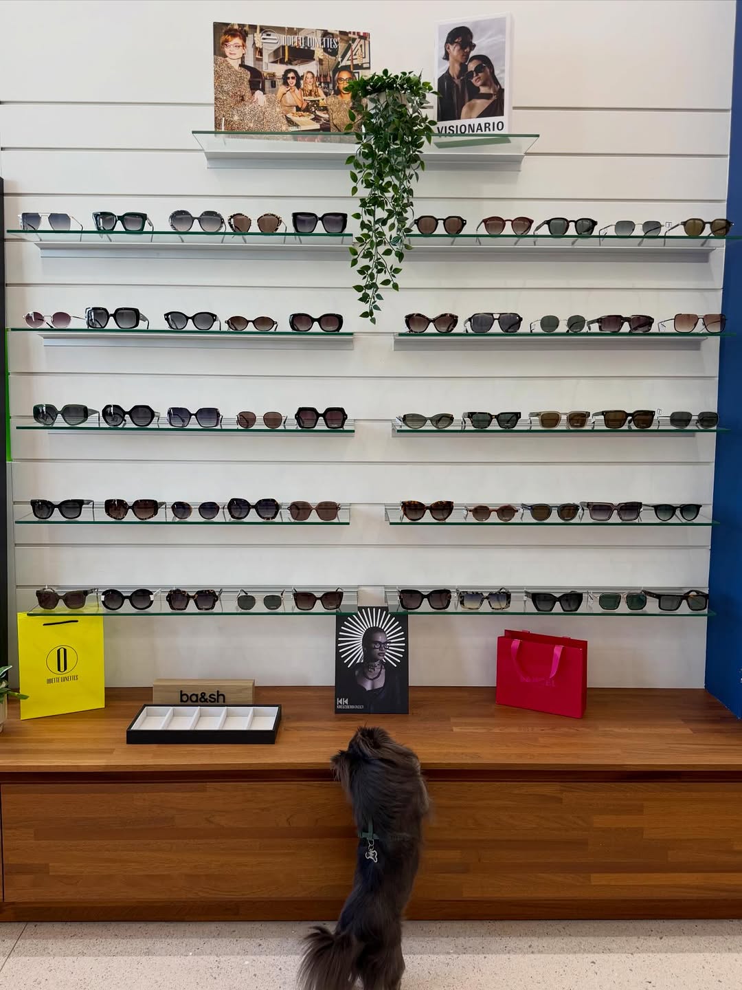 656577878_17890082820446823_7059723462211217824_n