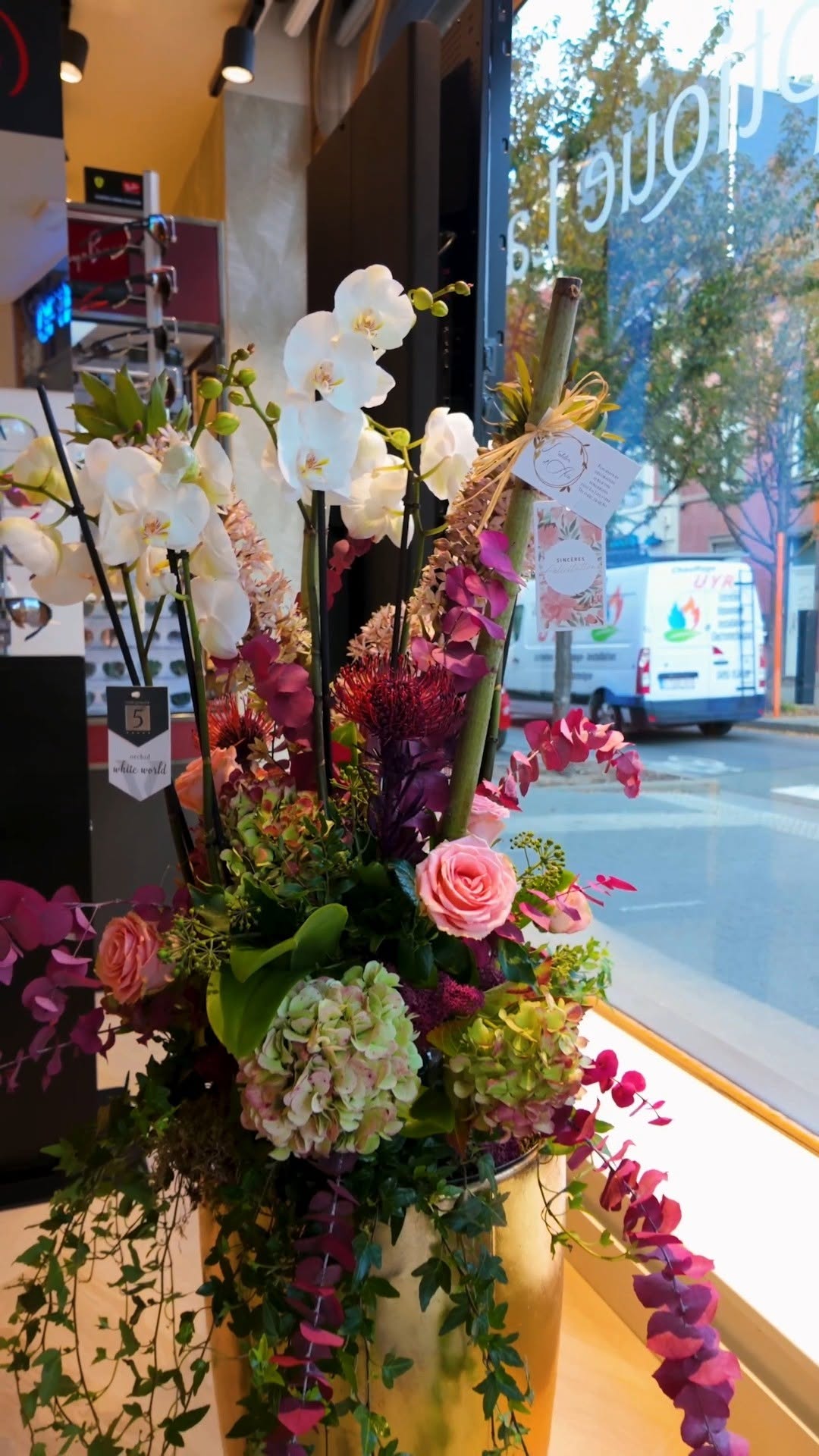 564084349_18431306356100050_3836755134336540440_n