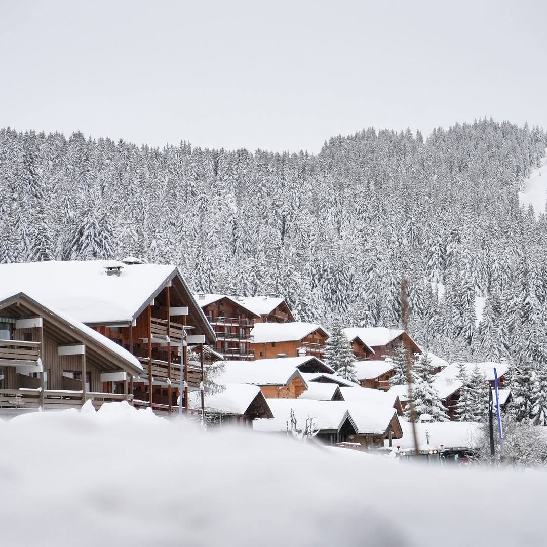 641585380_1522042563256300_6598943543132555463_n