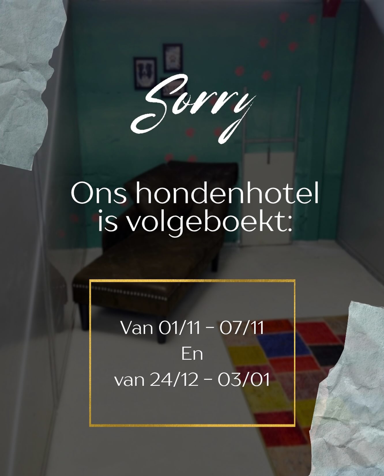 825277080_18018859394866175_3809386508901126390_n